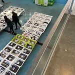 Apartamestos Langosteira Appartamento *
